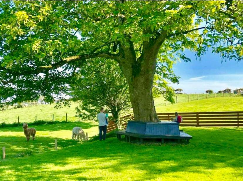 Torrs Warren Country House Hotel Stoneykirk Bagian luar foto